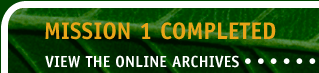 VIEW THE ARCHIVE