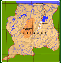 CLICK TO ENLARGE