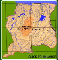 CLICK TO ENLARGE