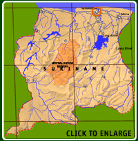 CLICK TO ENLARGE